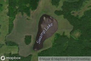 Swamp Lake
