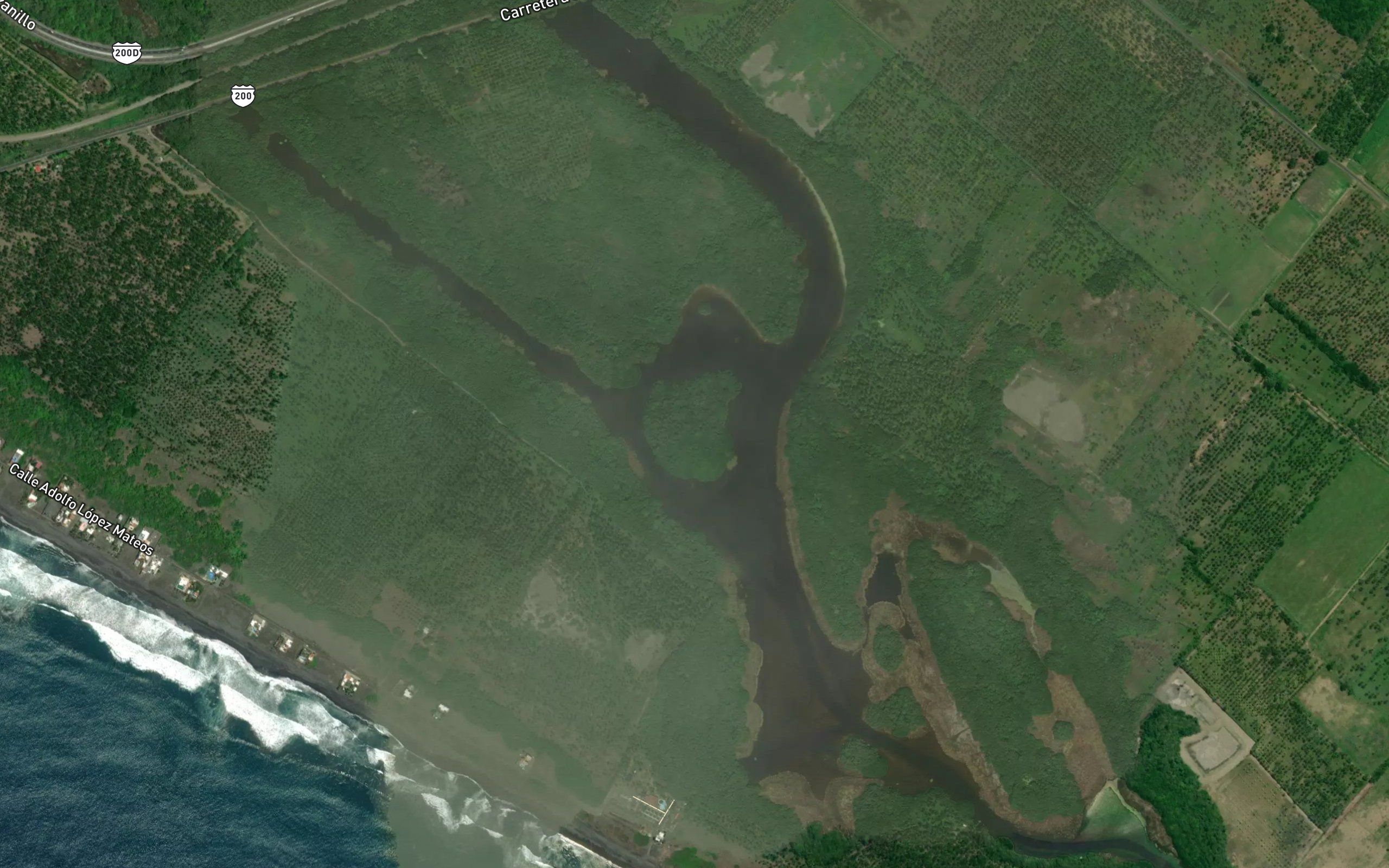 Estero Palo Verde