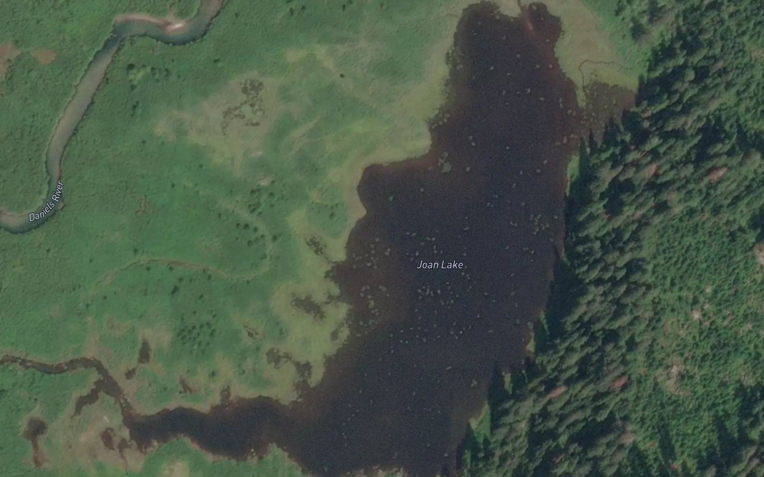 Joan Lake