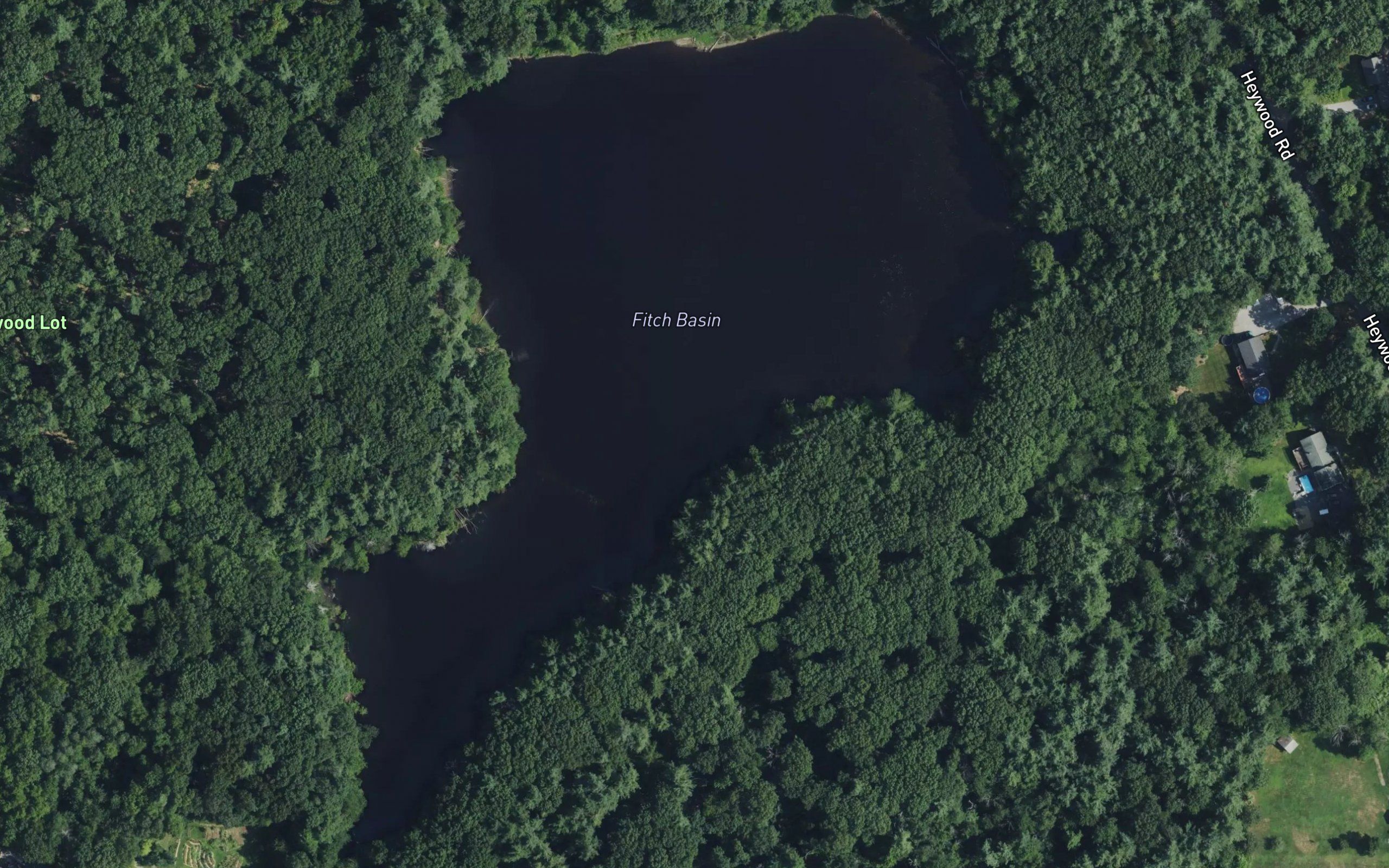Fitch Basin