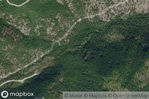 Bug Creek