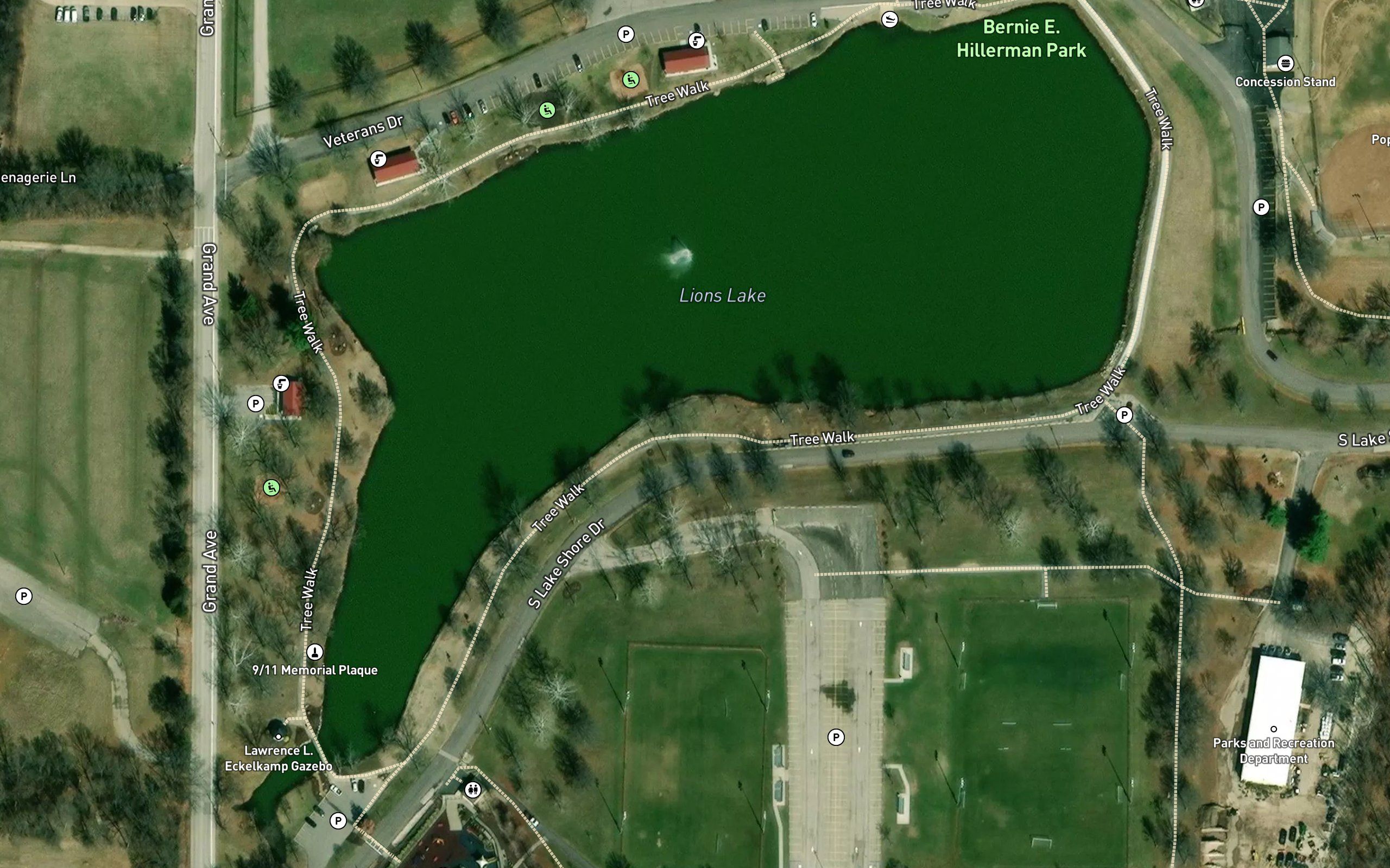 Lions Lake