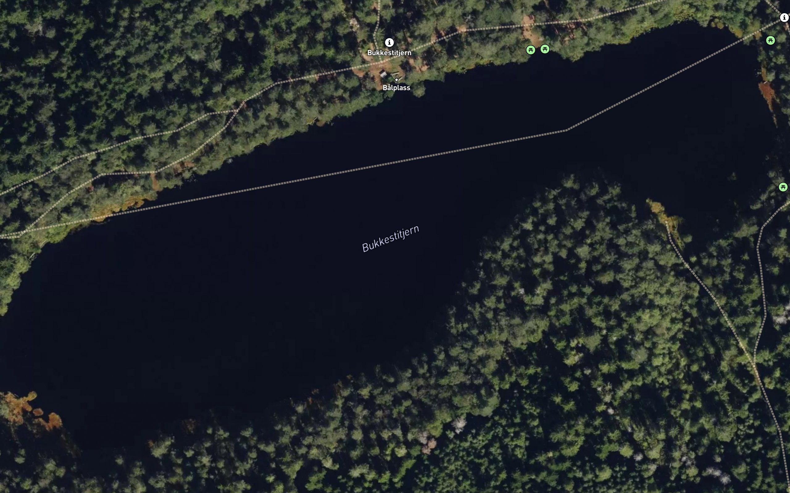 Bukkestjern