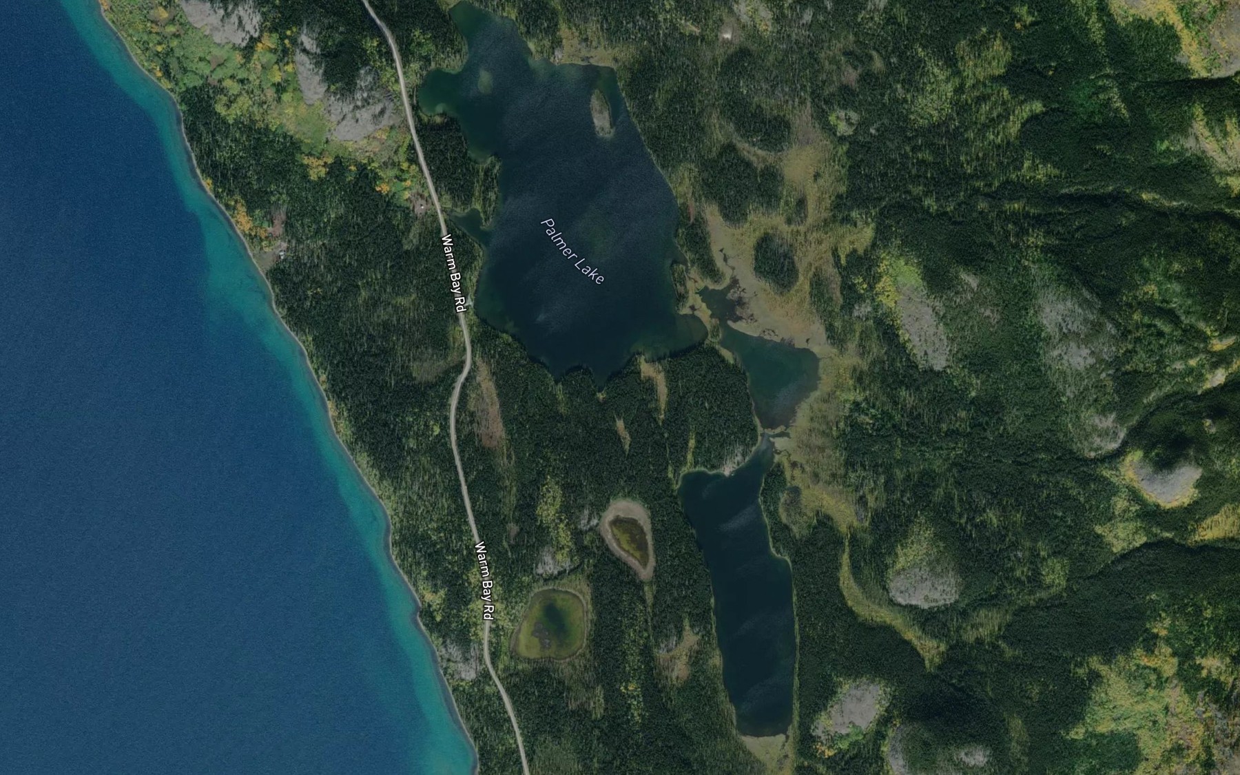 Satellite map of the Palmer Lake