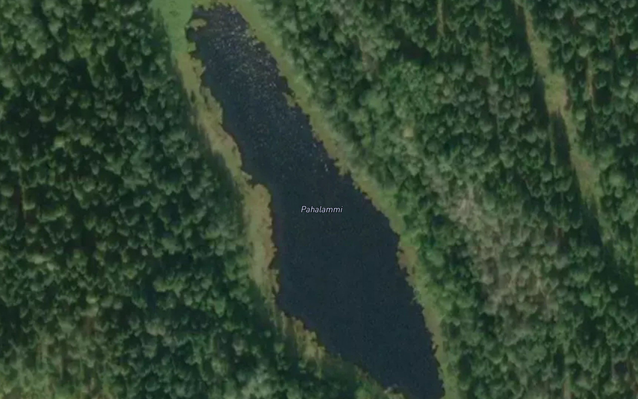 Pahalammi