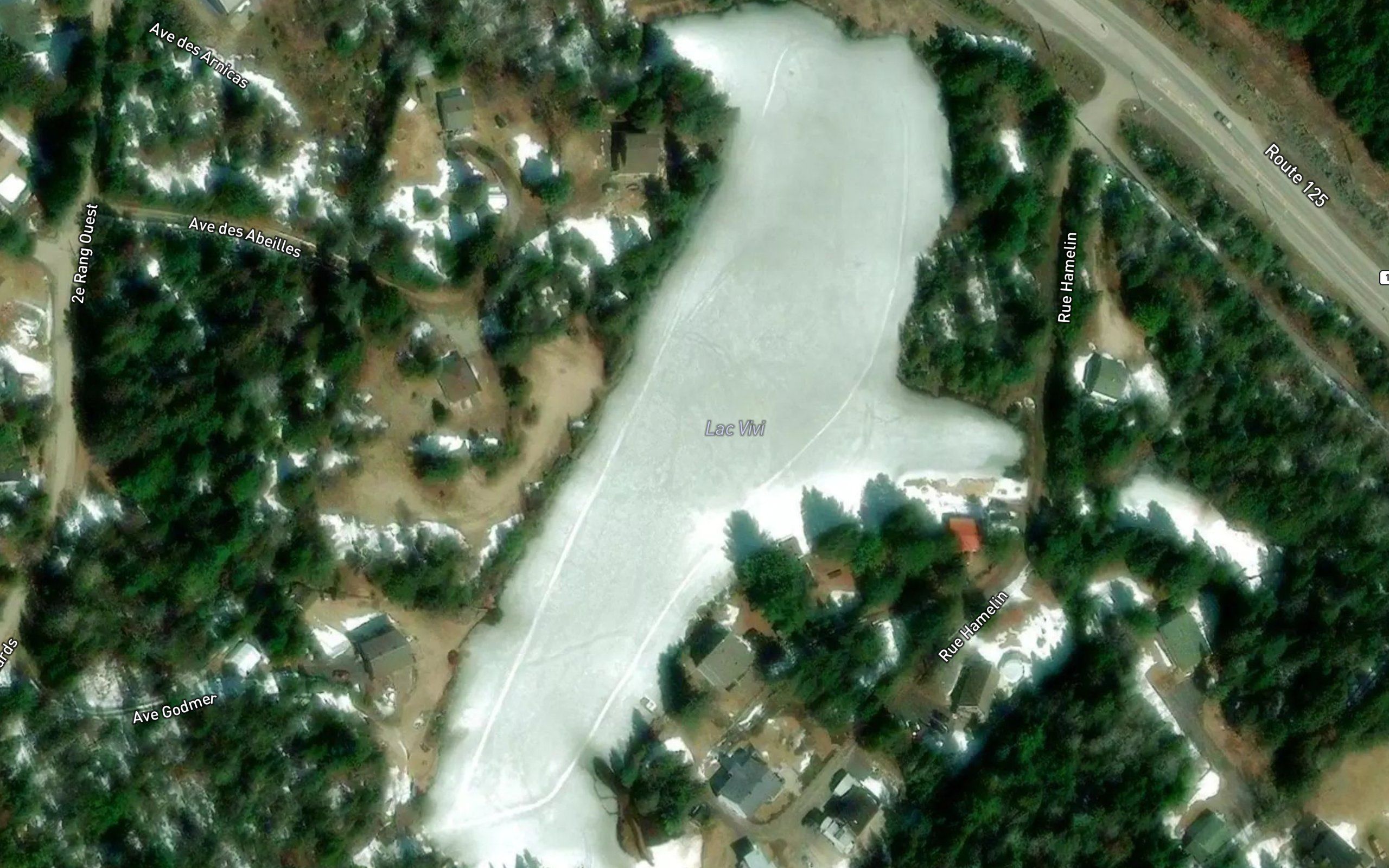 Lac Vivi