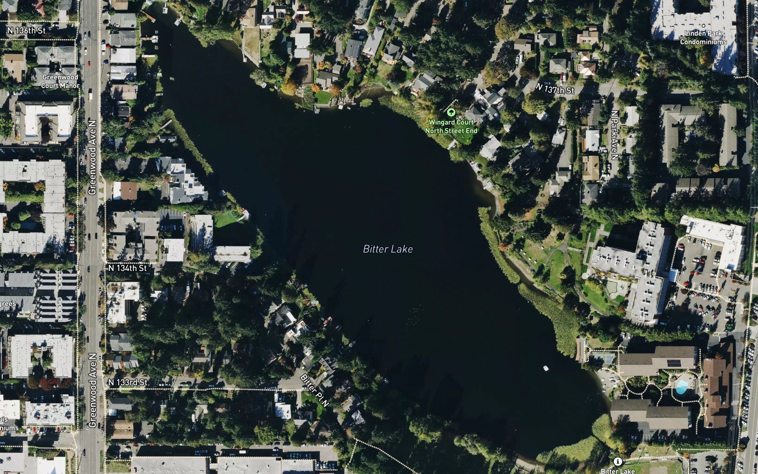 Bitter Lake