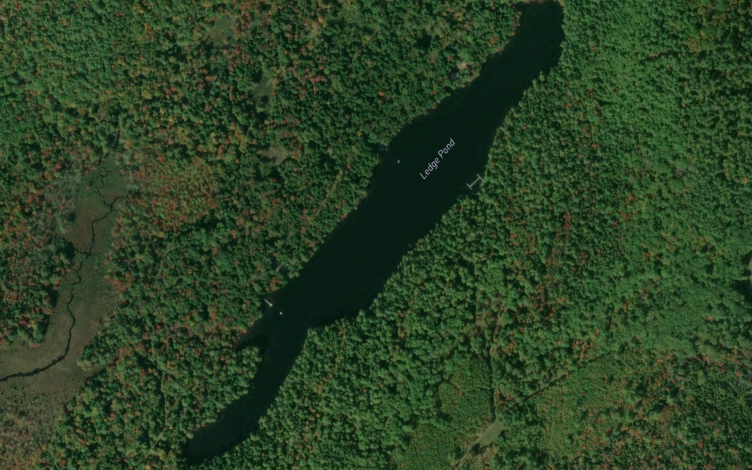 Ledge Pond
