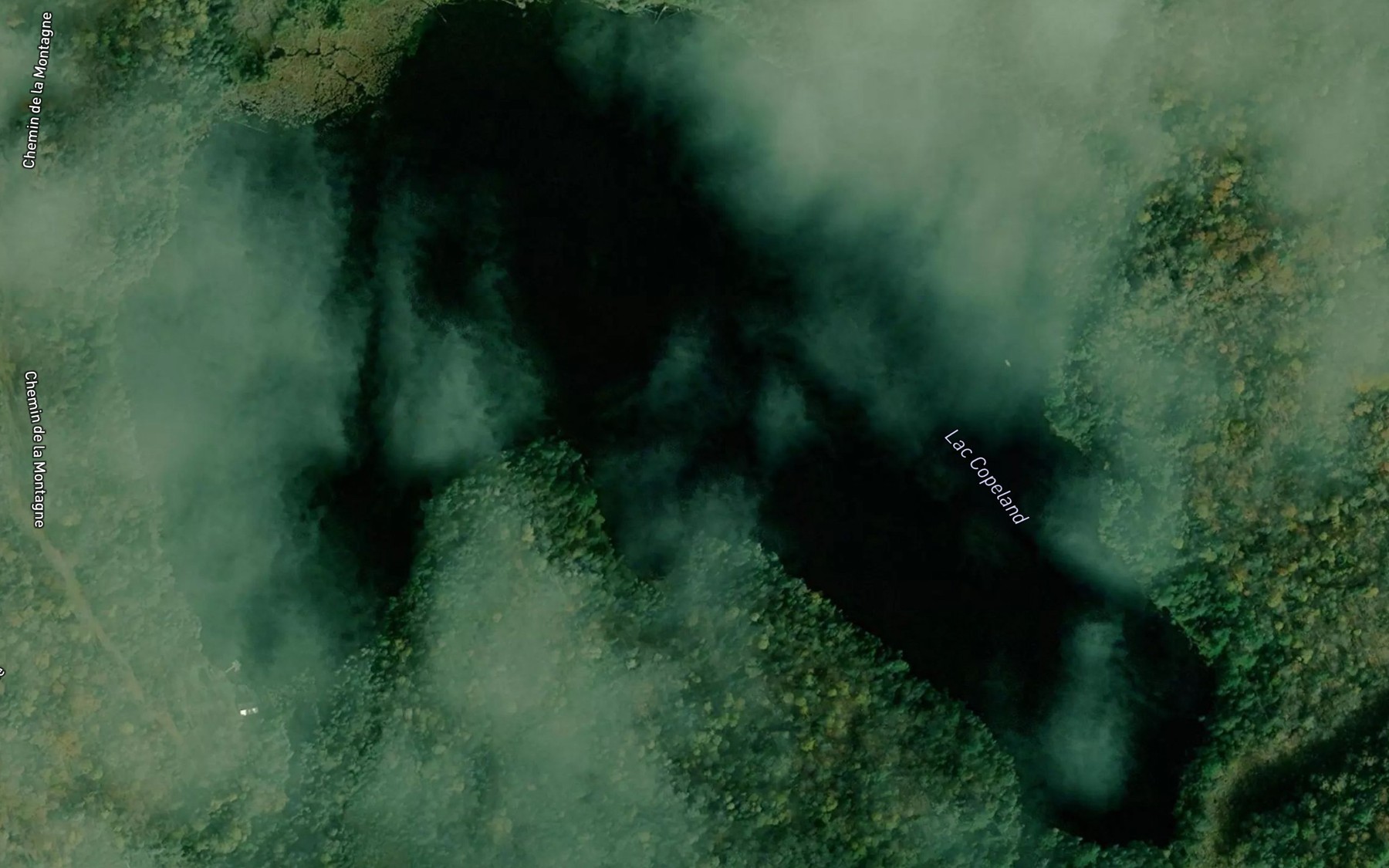 Satellite map of the Lac Copeland