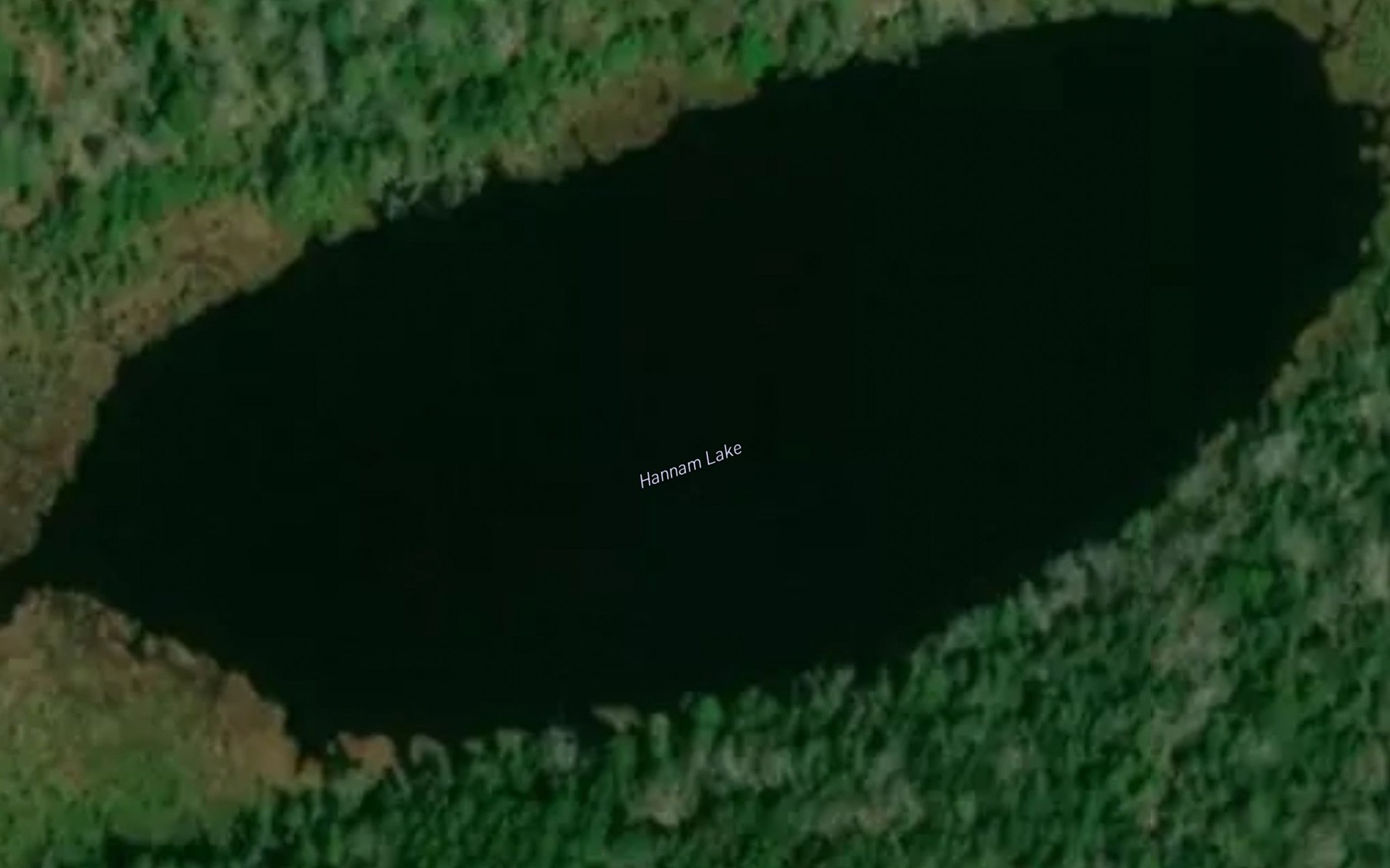 Satellite map of the Hannam Lake