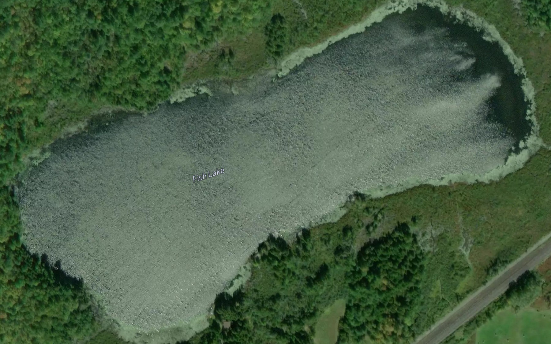 Satellite map of the Fish Lake