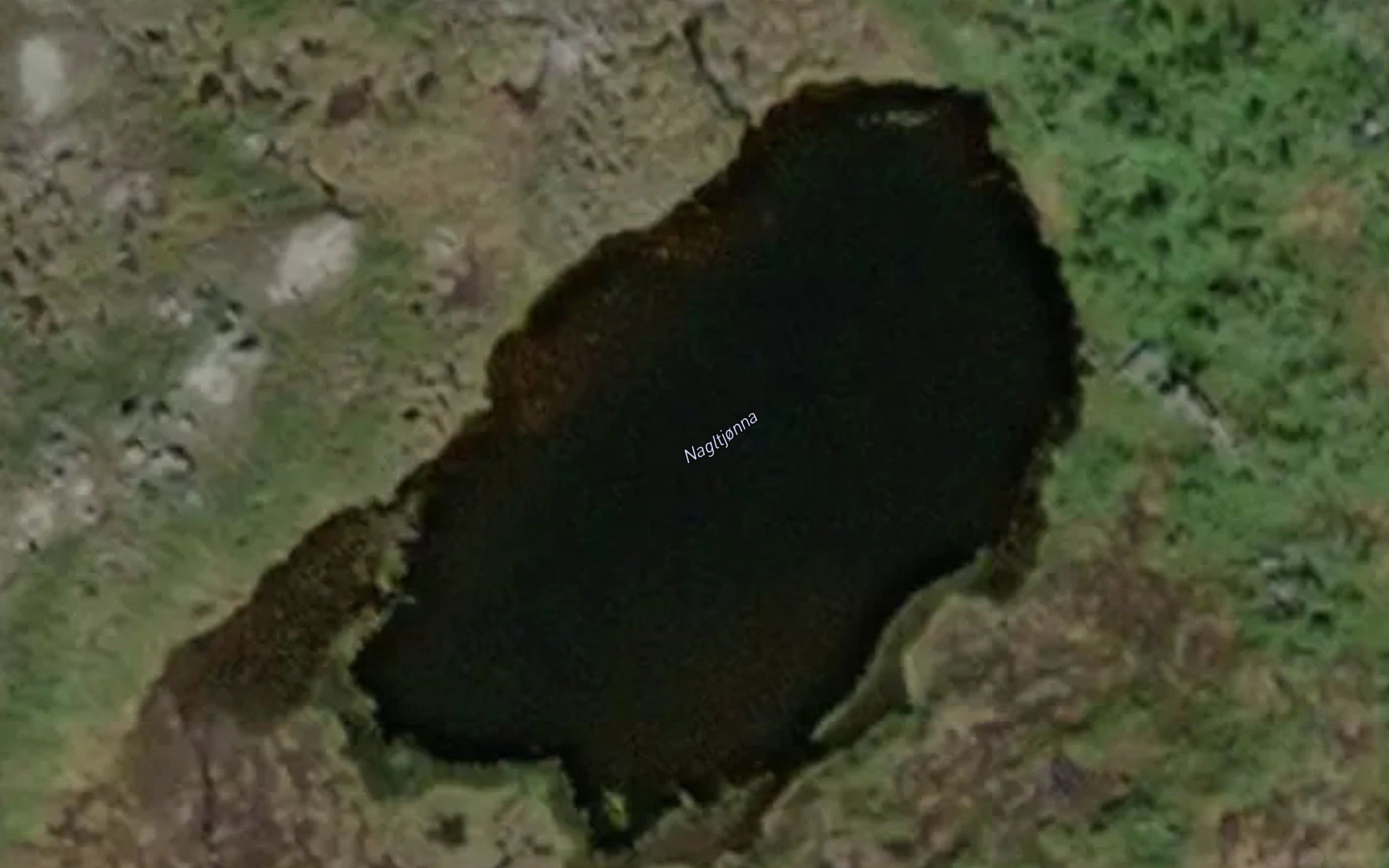Nagltjorna