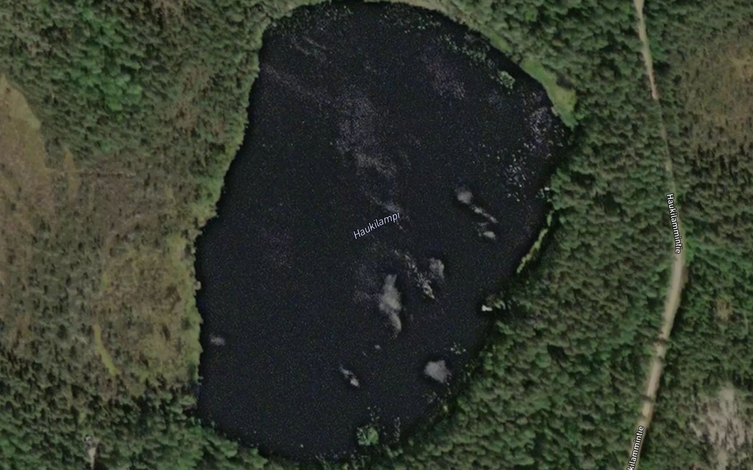 Haukilampi