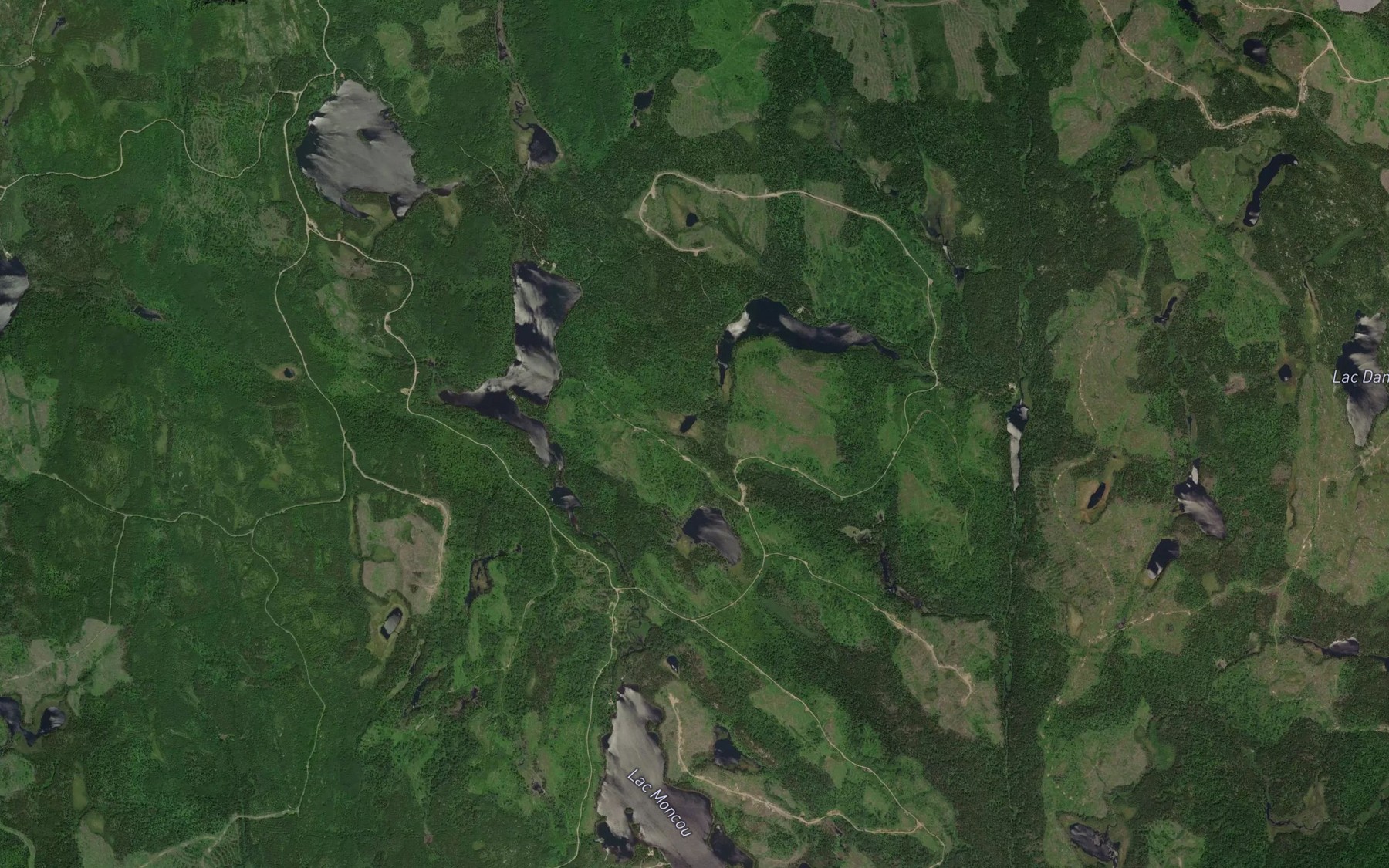 Satellite map of the Lac des Femmes