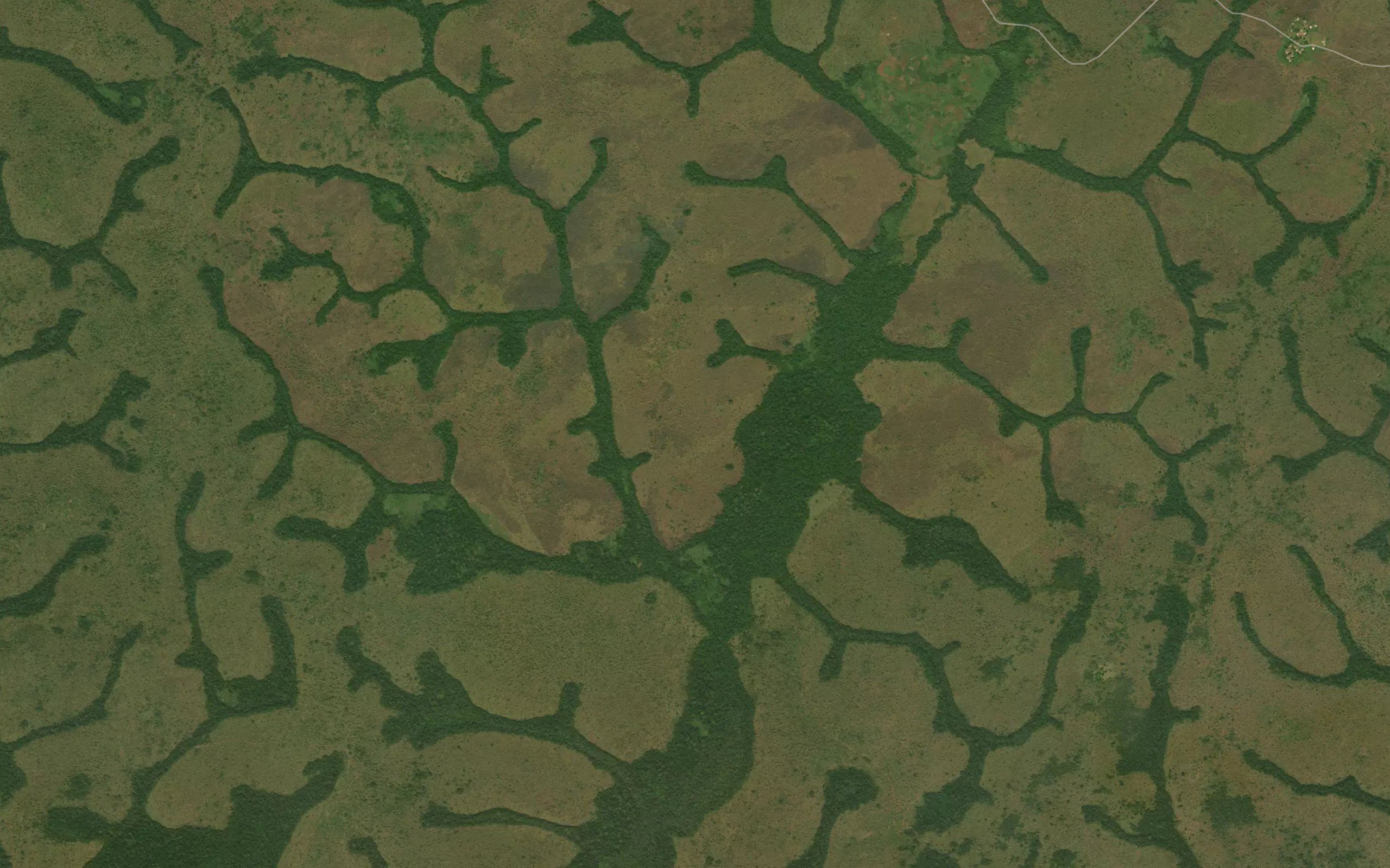 Beliloro