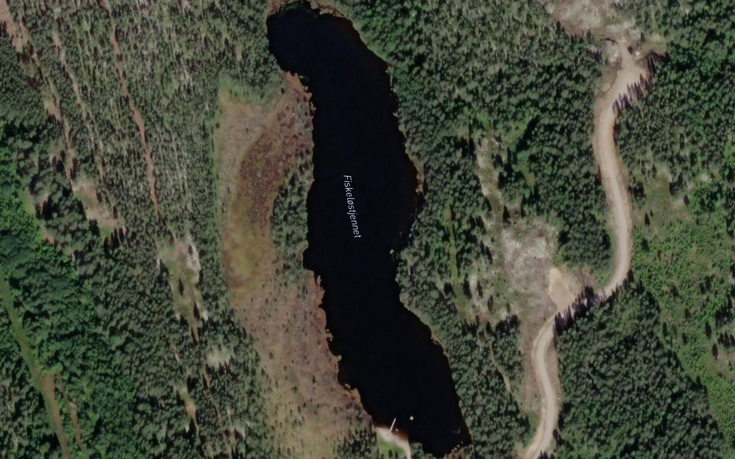 Fiskelostjorna