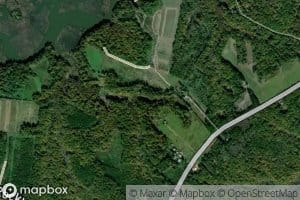 Peach Orchard Gut