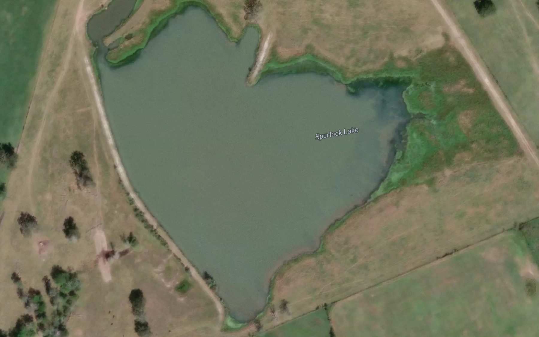 Satellite map of the Spurlock Lake