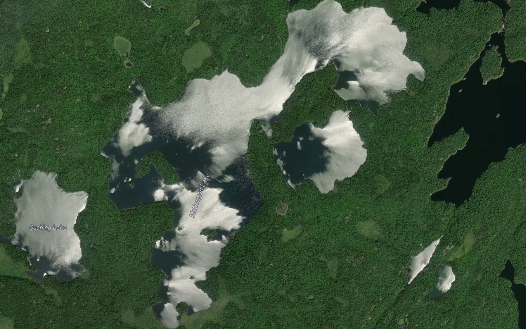 Satellite map of the McDougall Lake
