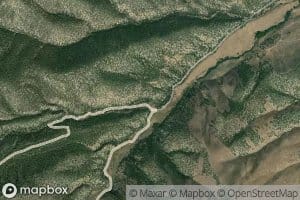 Martin Fork