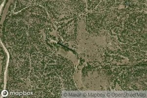 Bur Oak Spring