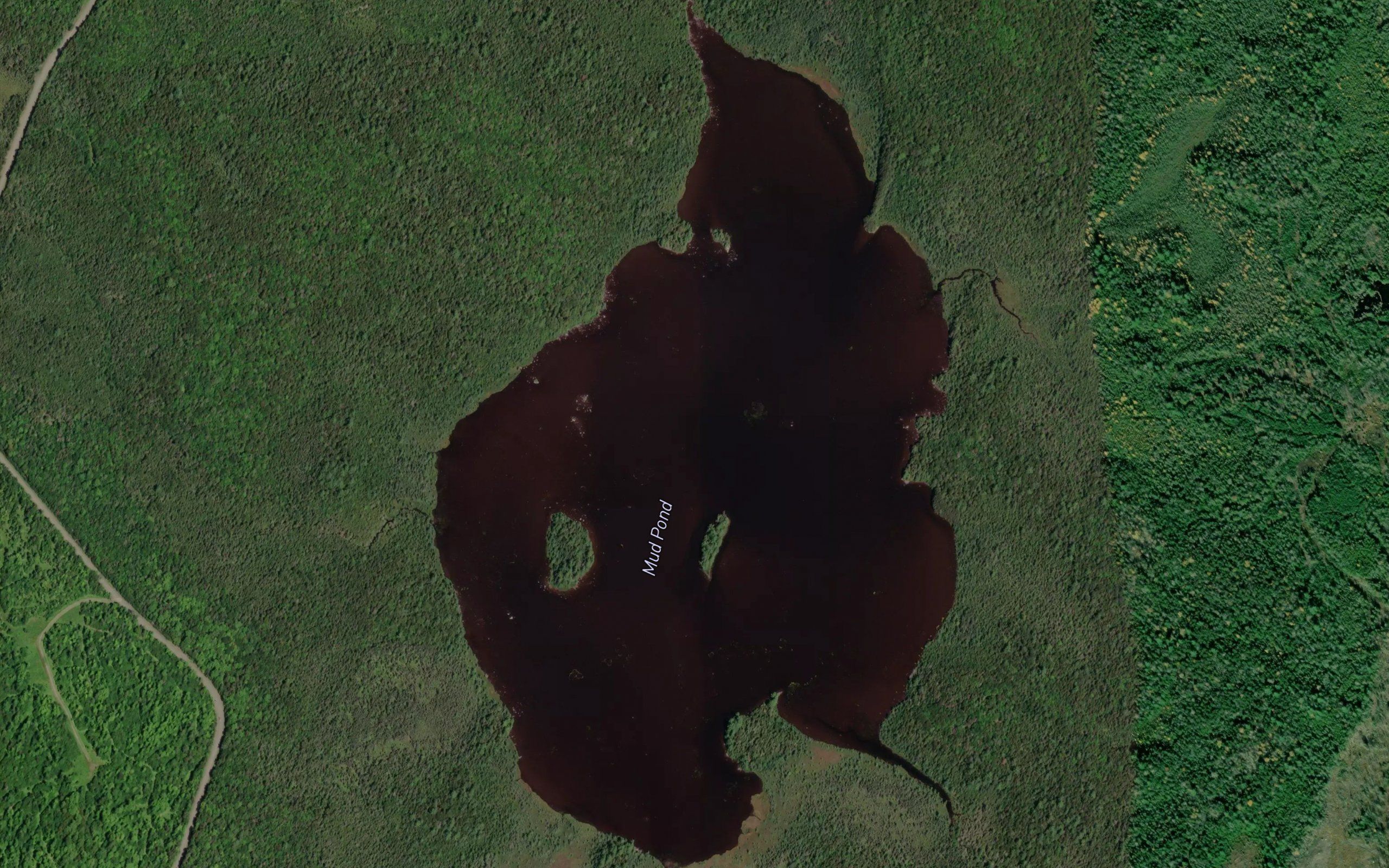 Mud Pond