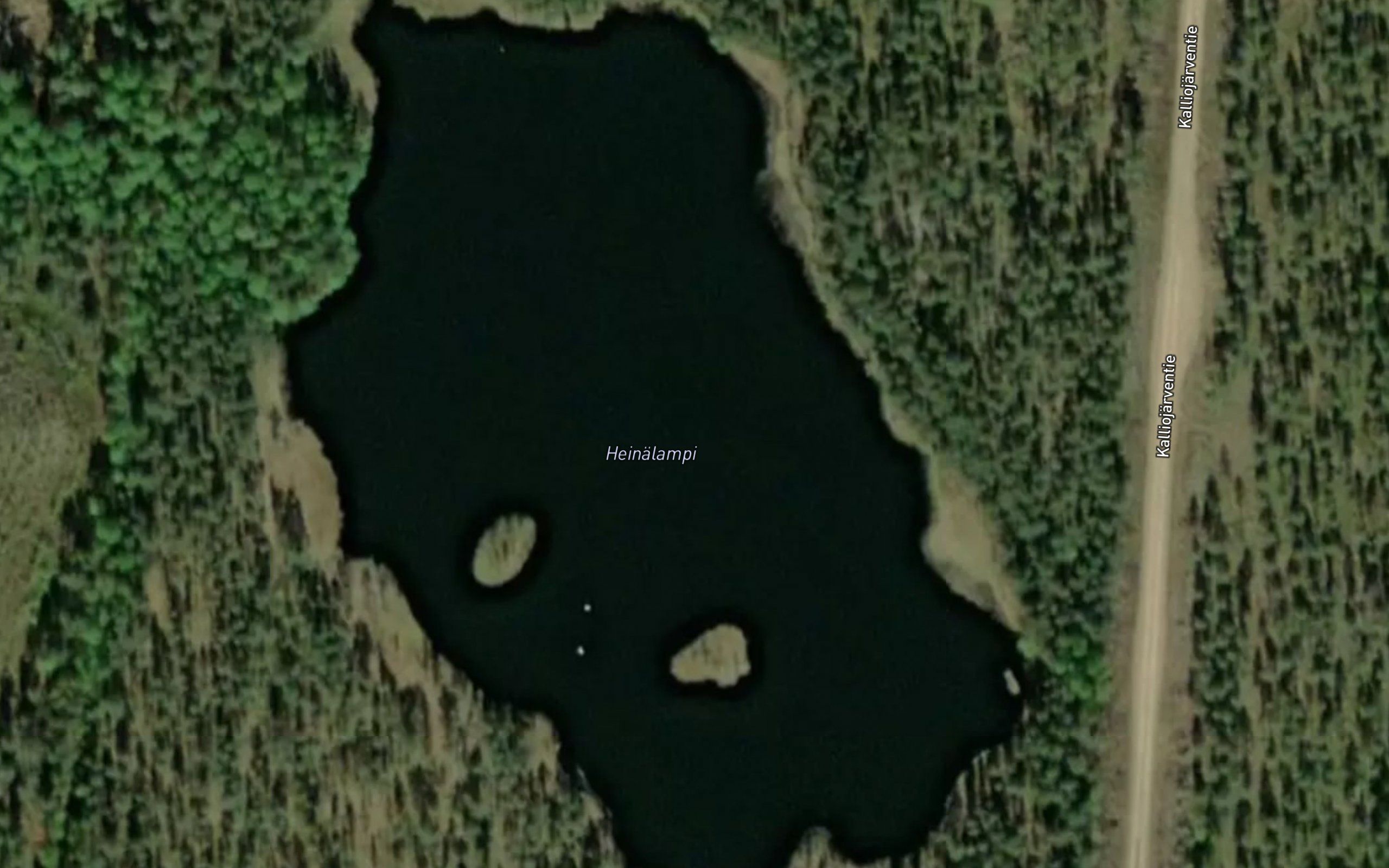 Heinalampi