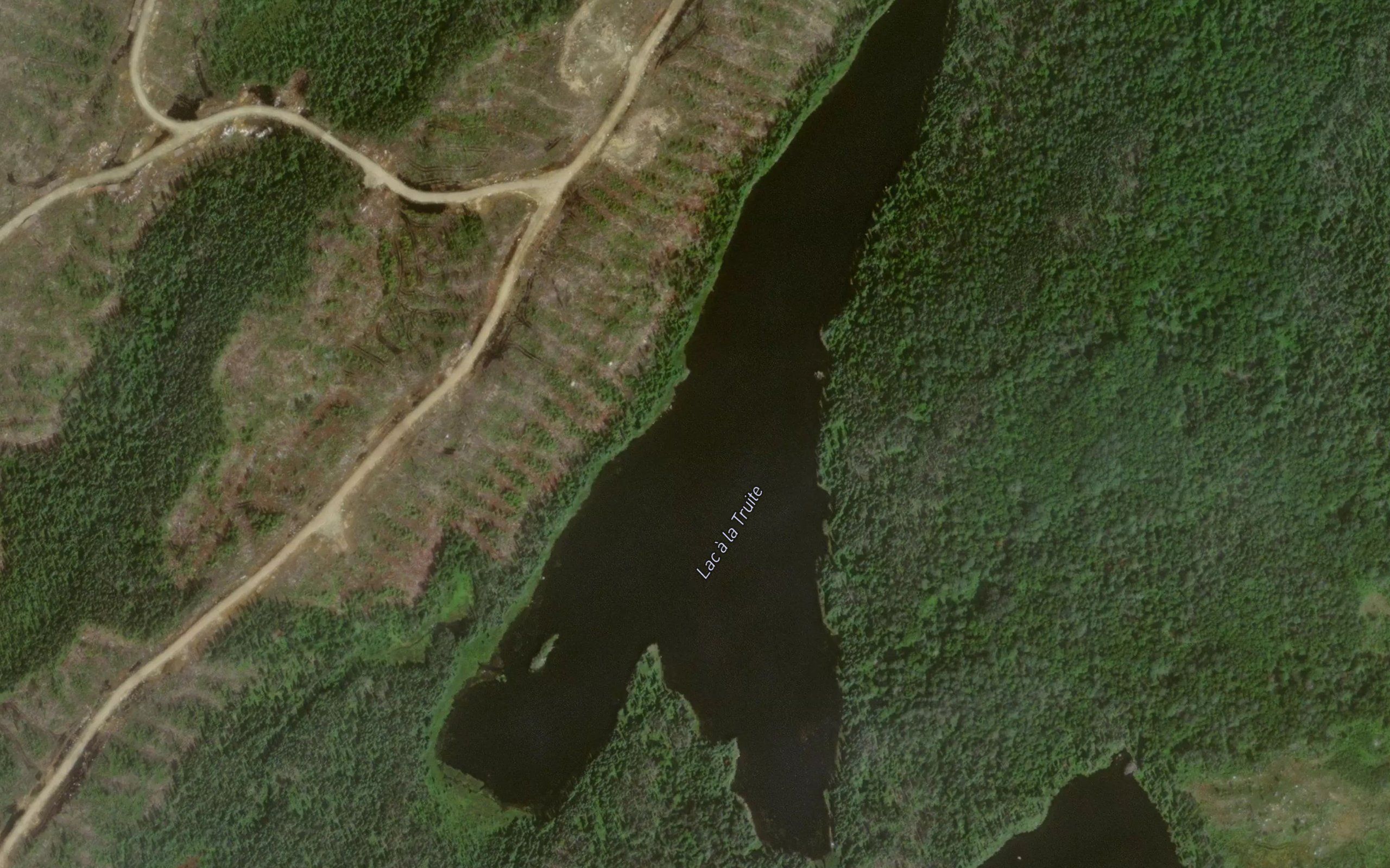 Lac a la Truite