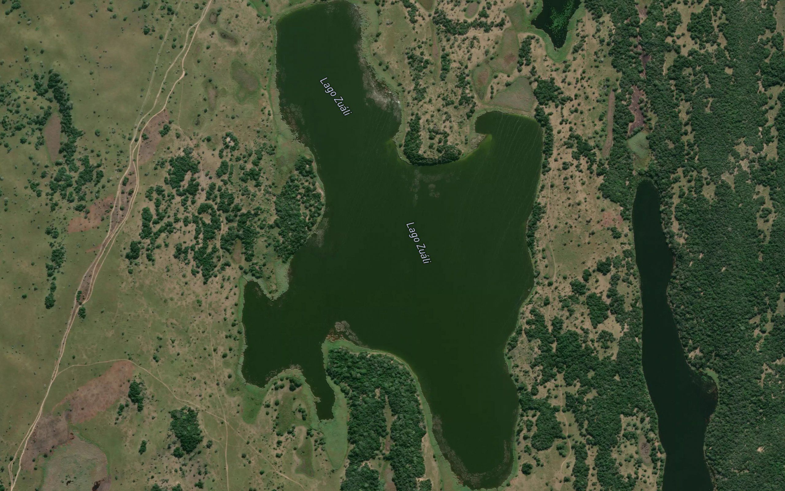 Lago Zuali