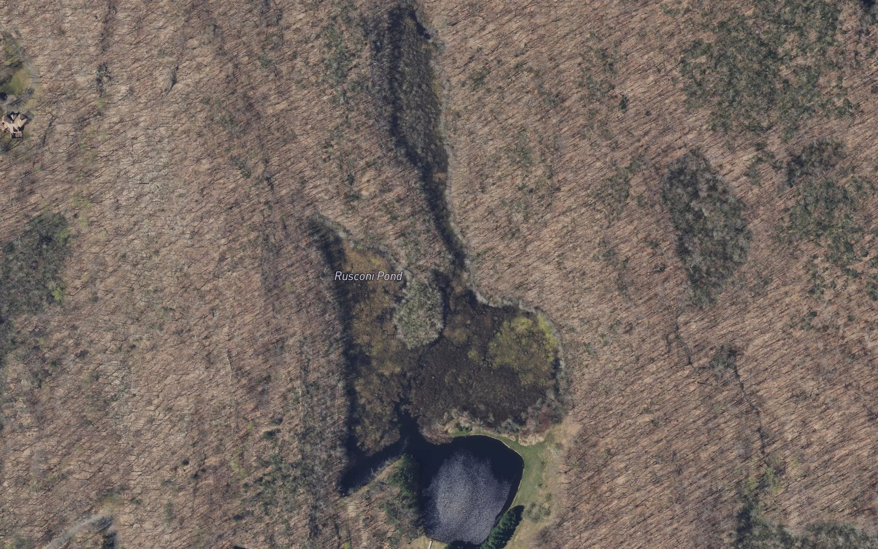 Satellite map of the Ruscom Pond