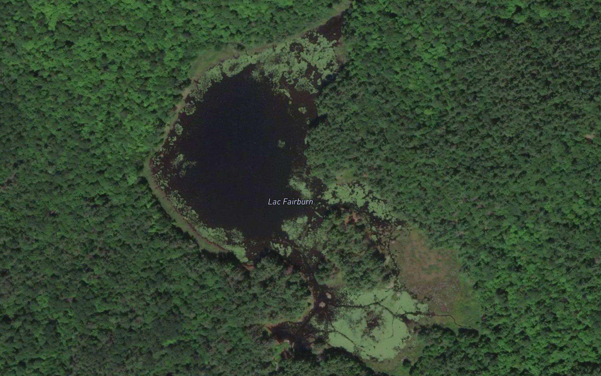 Lac Fairburn