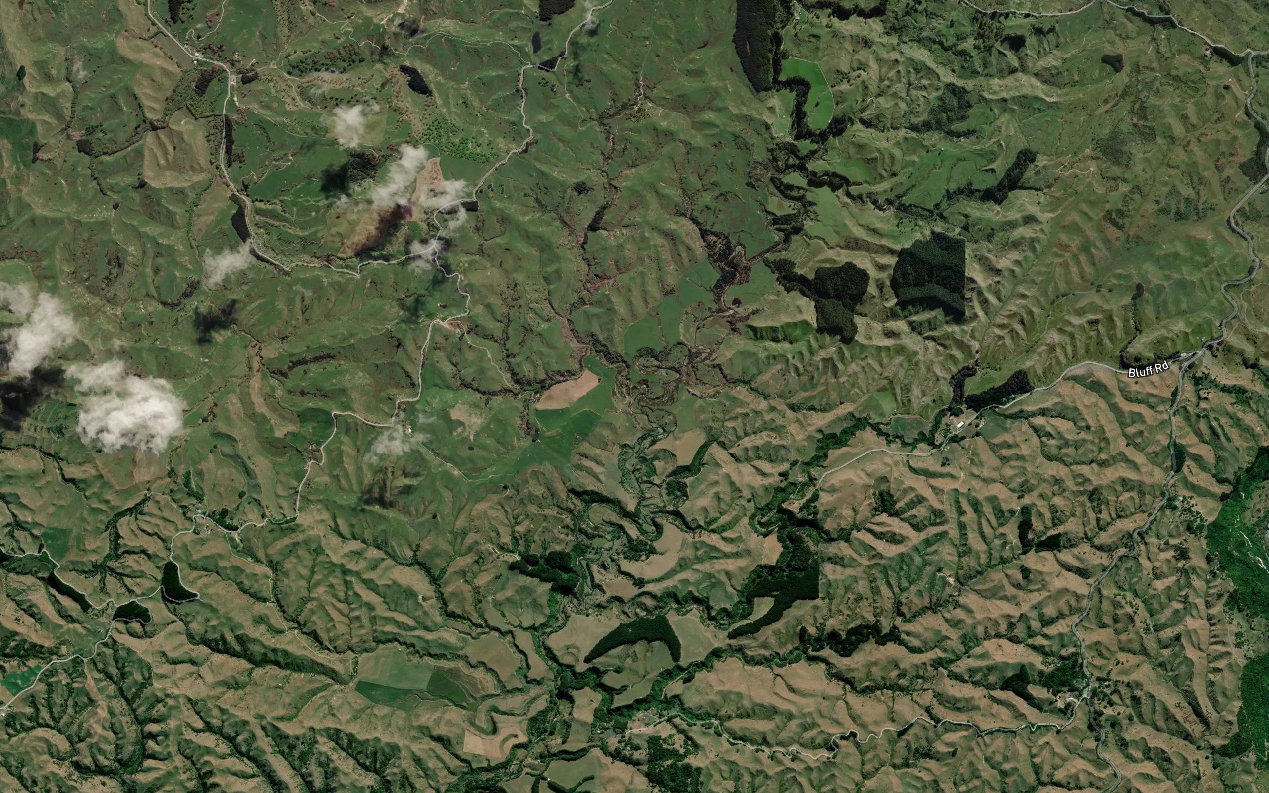 Kiwitea Stream