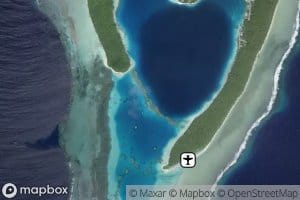 Lagoon Dividing Ribbon Coral Reef