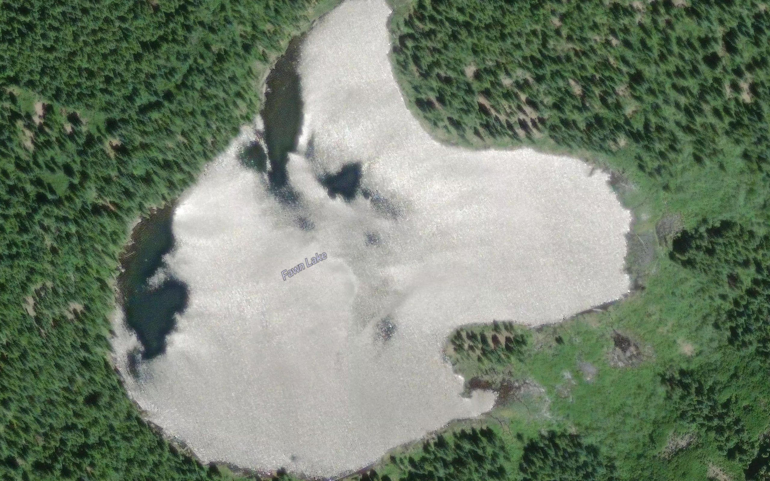 Fawn Lake