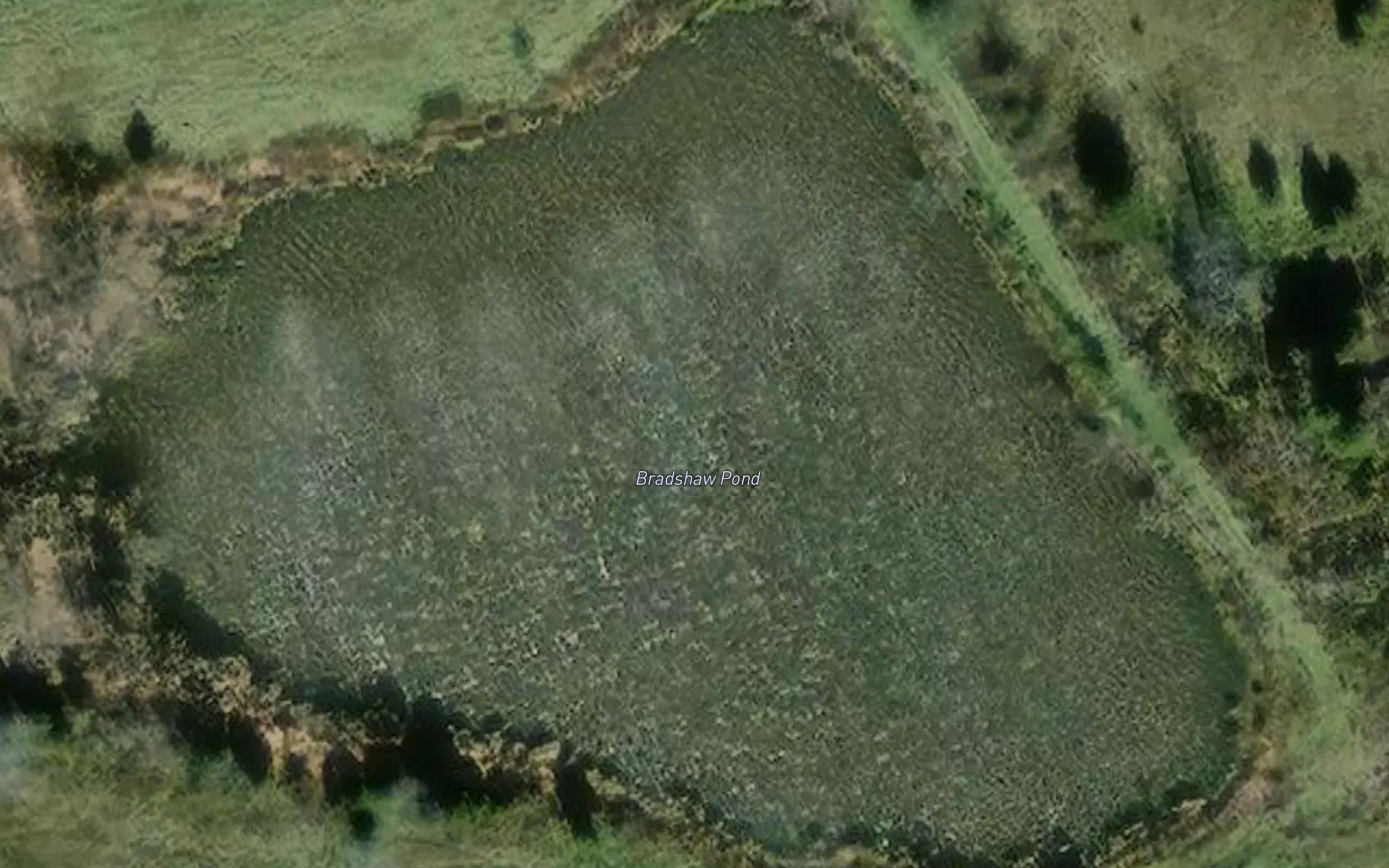 Bradshaw Pond