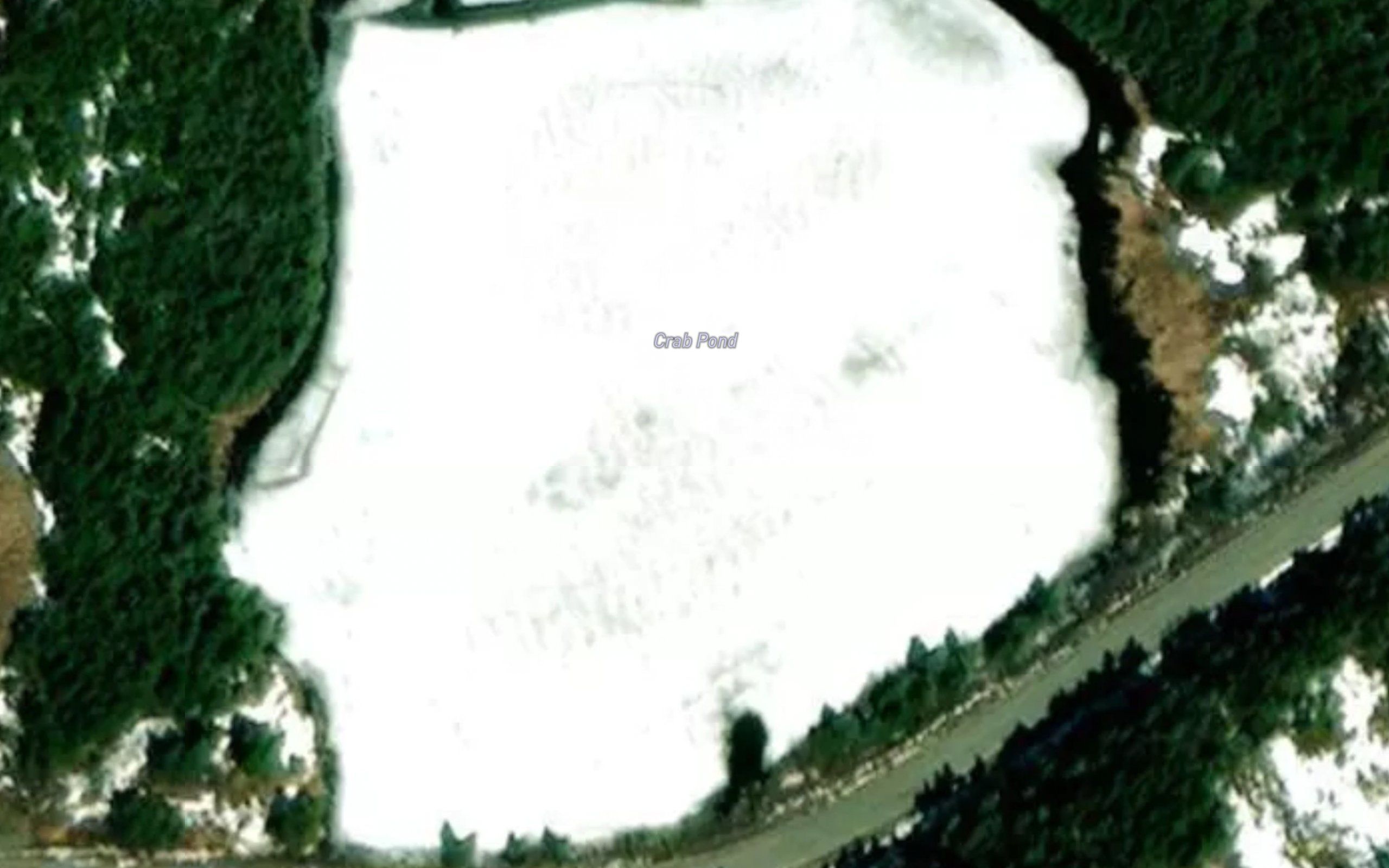 Crab Pond