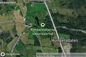 Tjornsendebekken