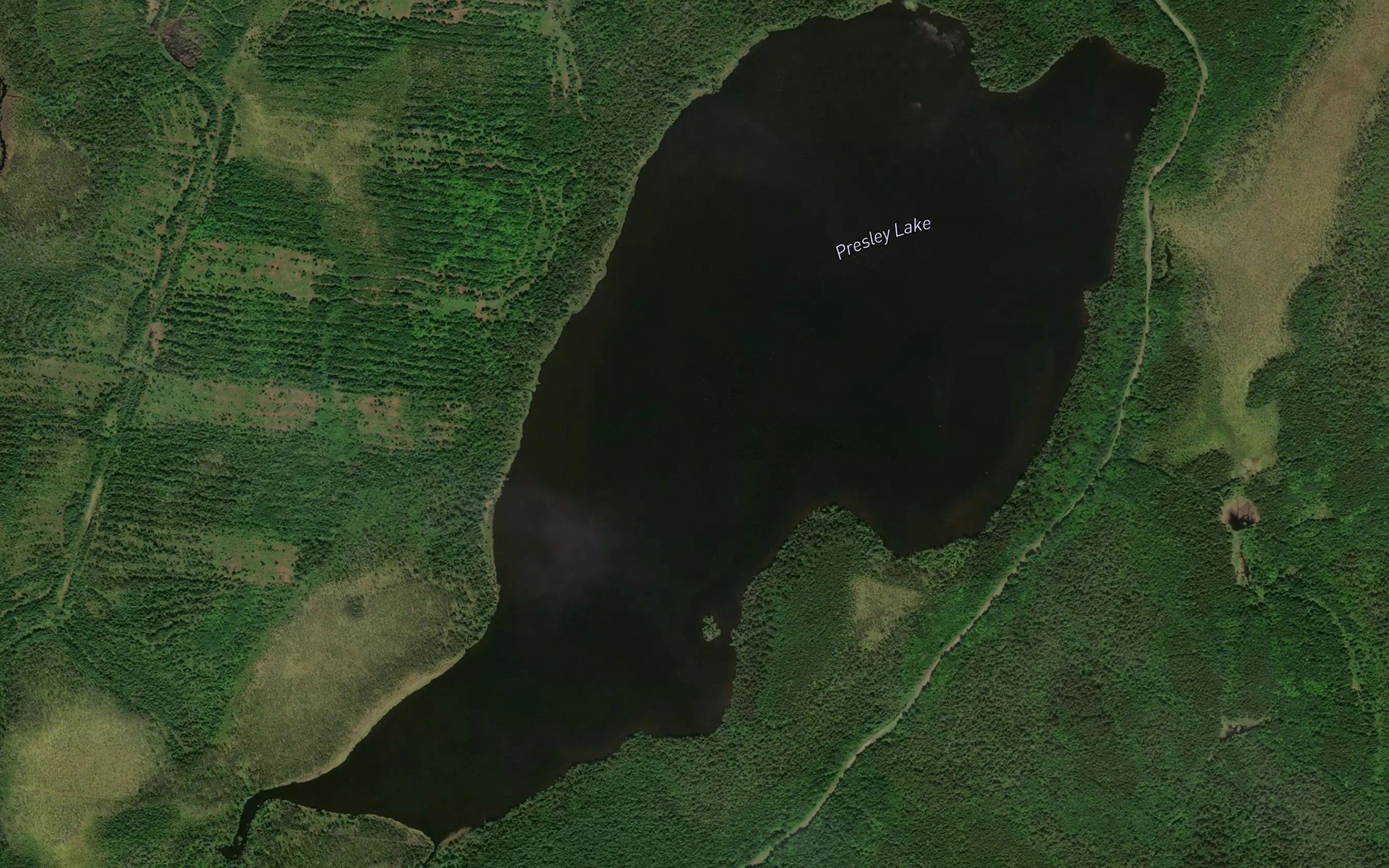 Presley Lake