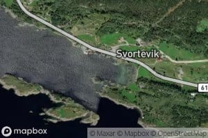 Svortevika