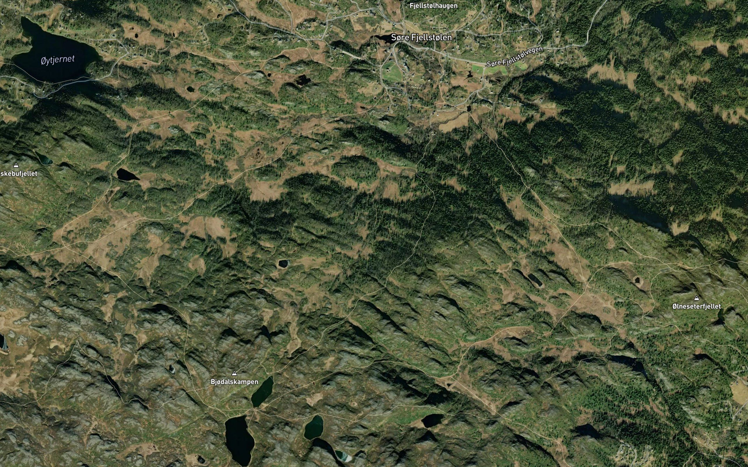 Fjellbekken
