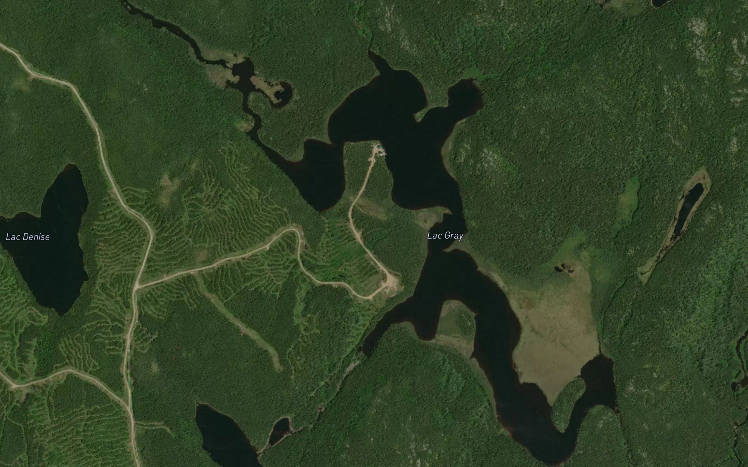 Lac Gray