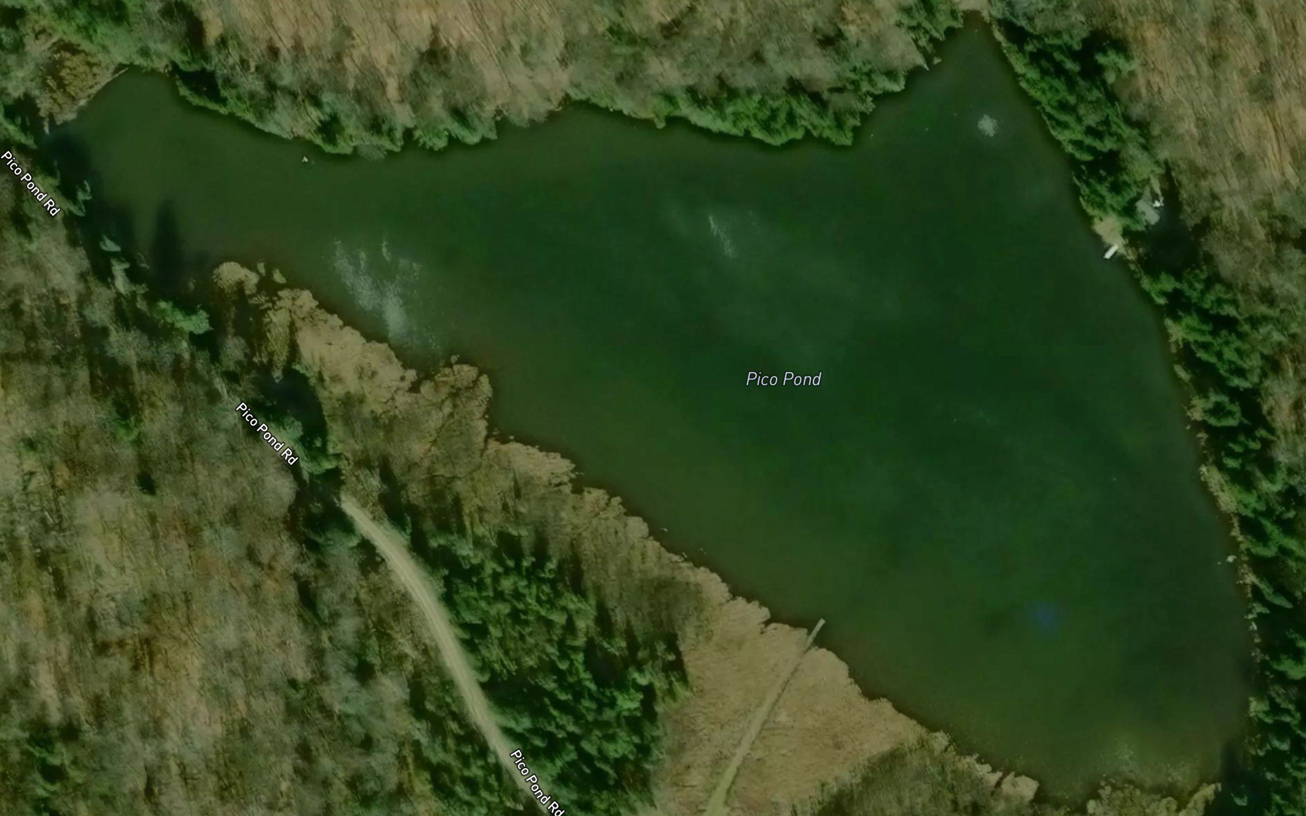Pico Pond