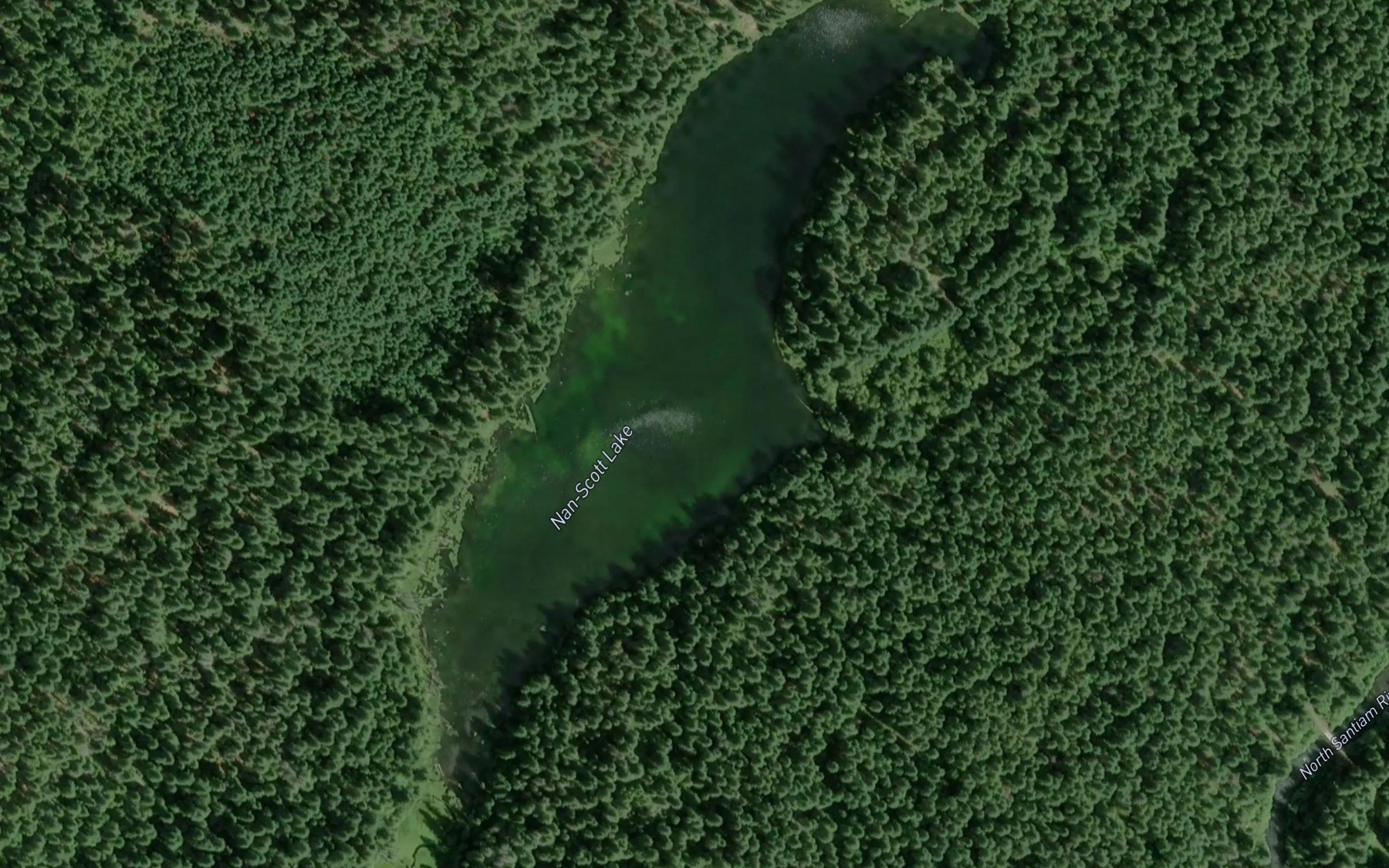 Satellite map of the Nan-Scott Lake