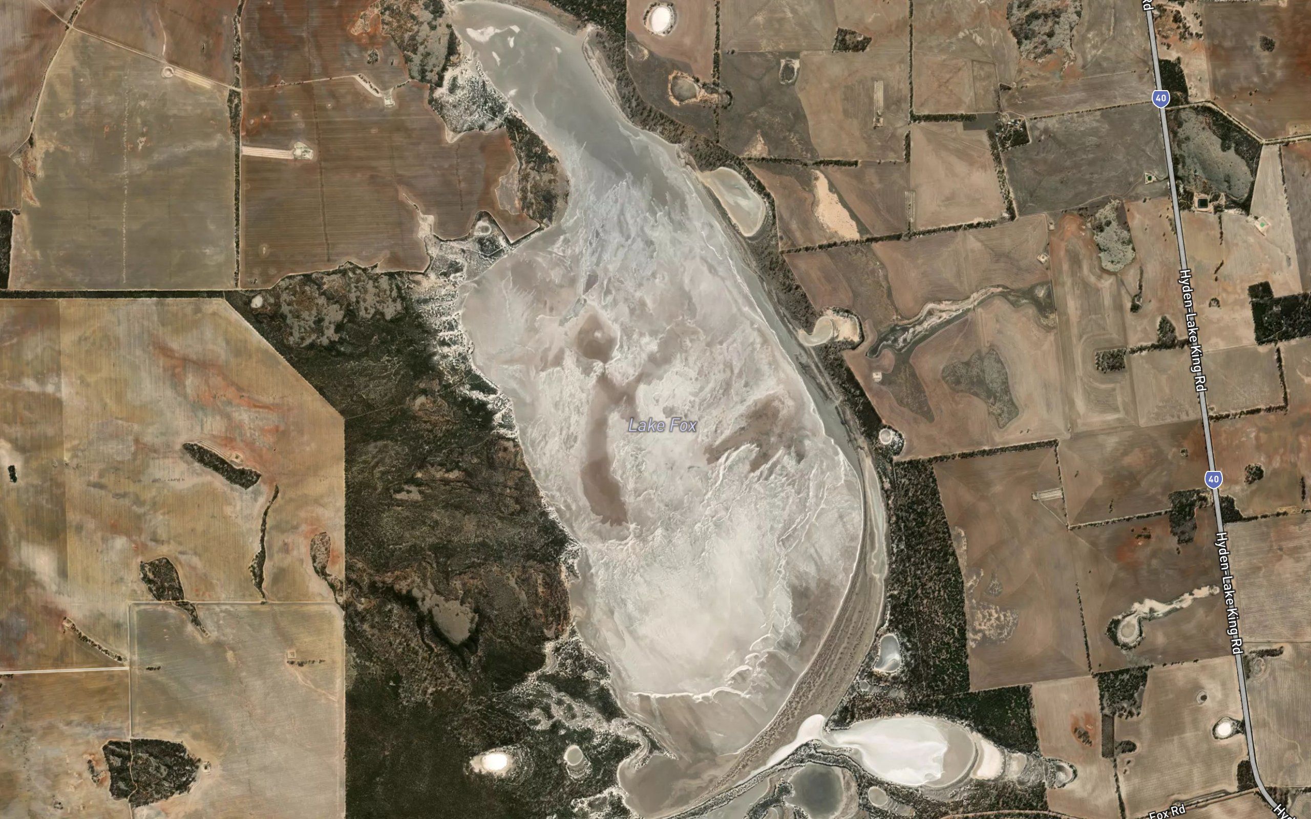 Lake Fox
