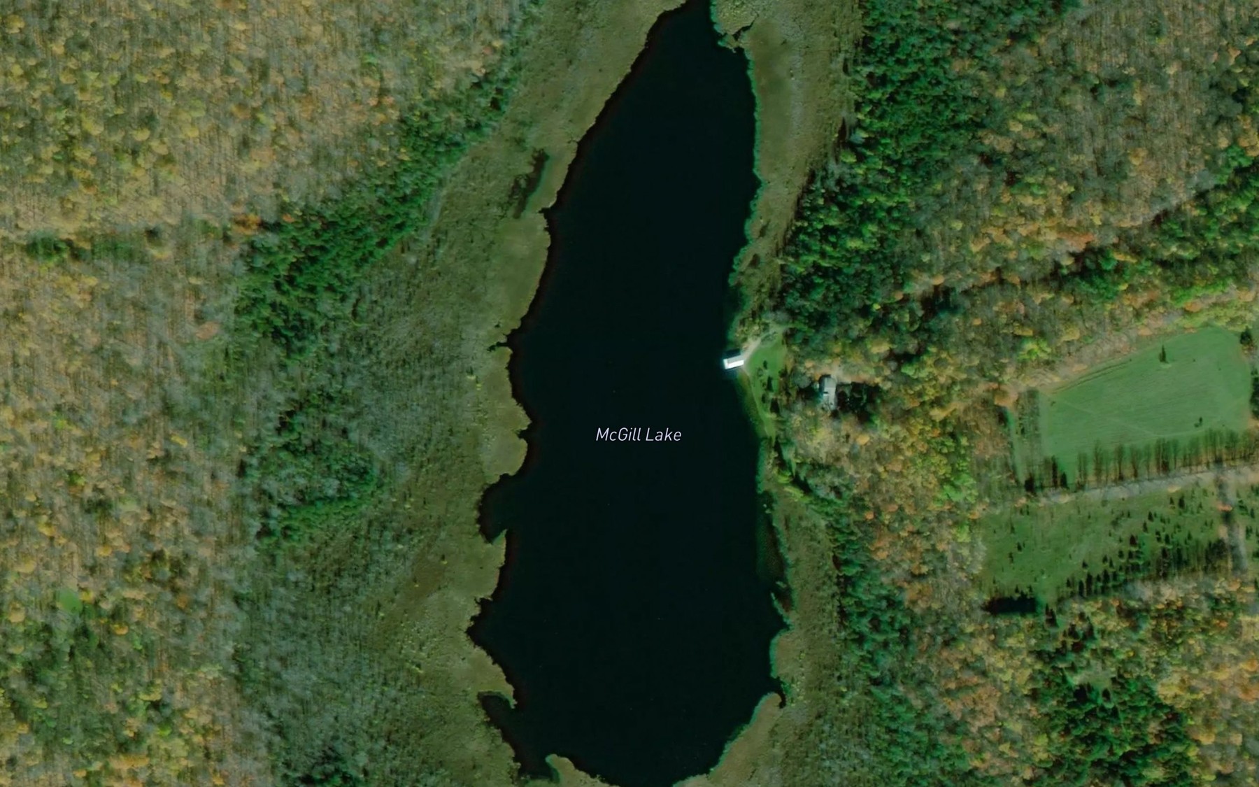 Satellite map of the McGill Lake