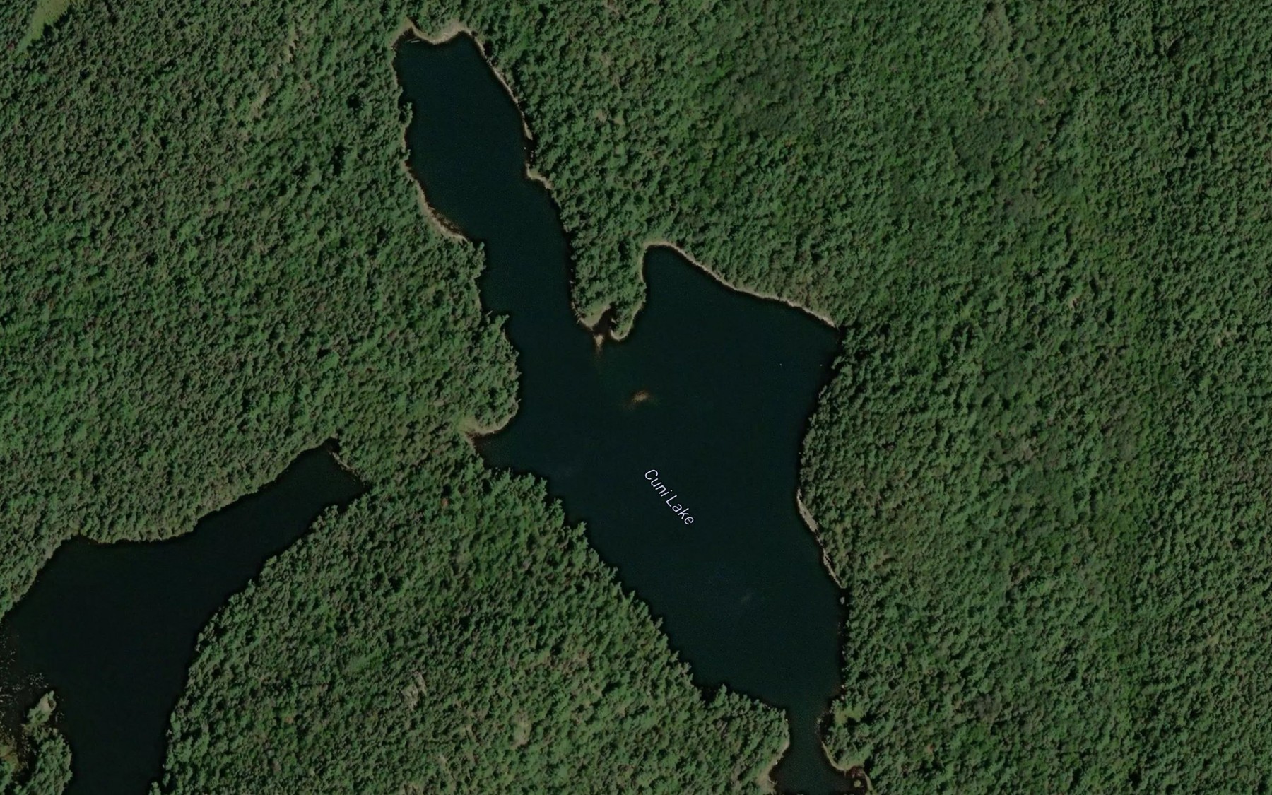 Satellite map of the Cuni Lake
