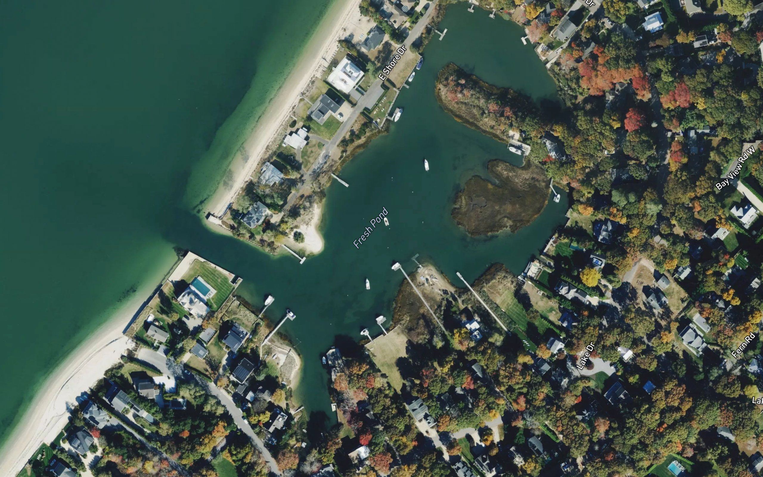 Fresh Pond