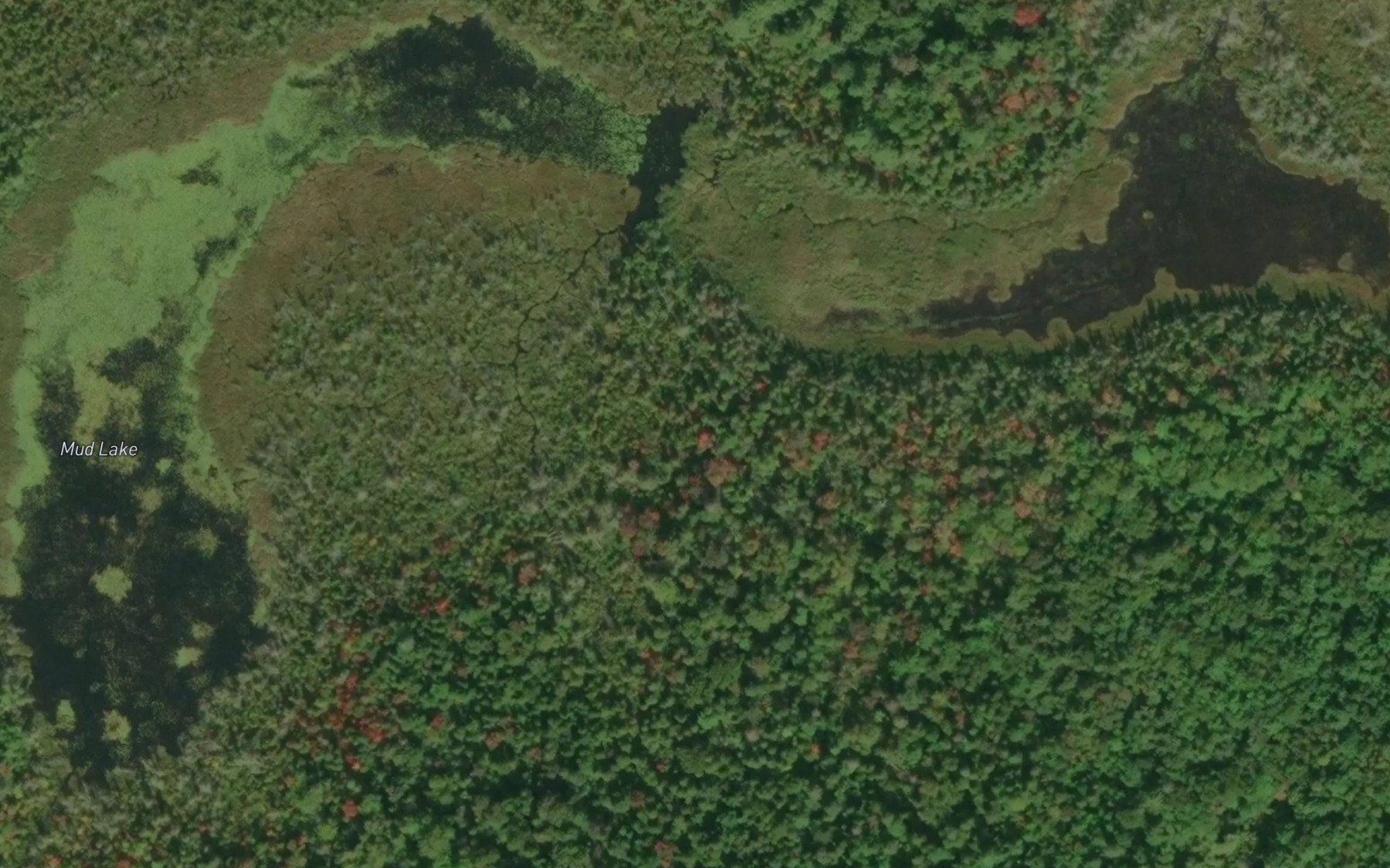 Satellite map of the Mud Lake