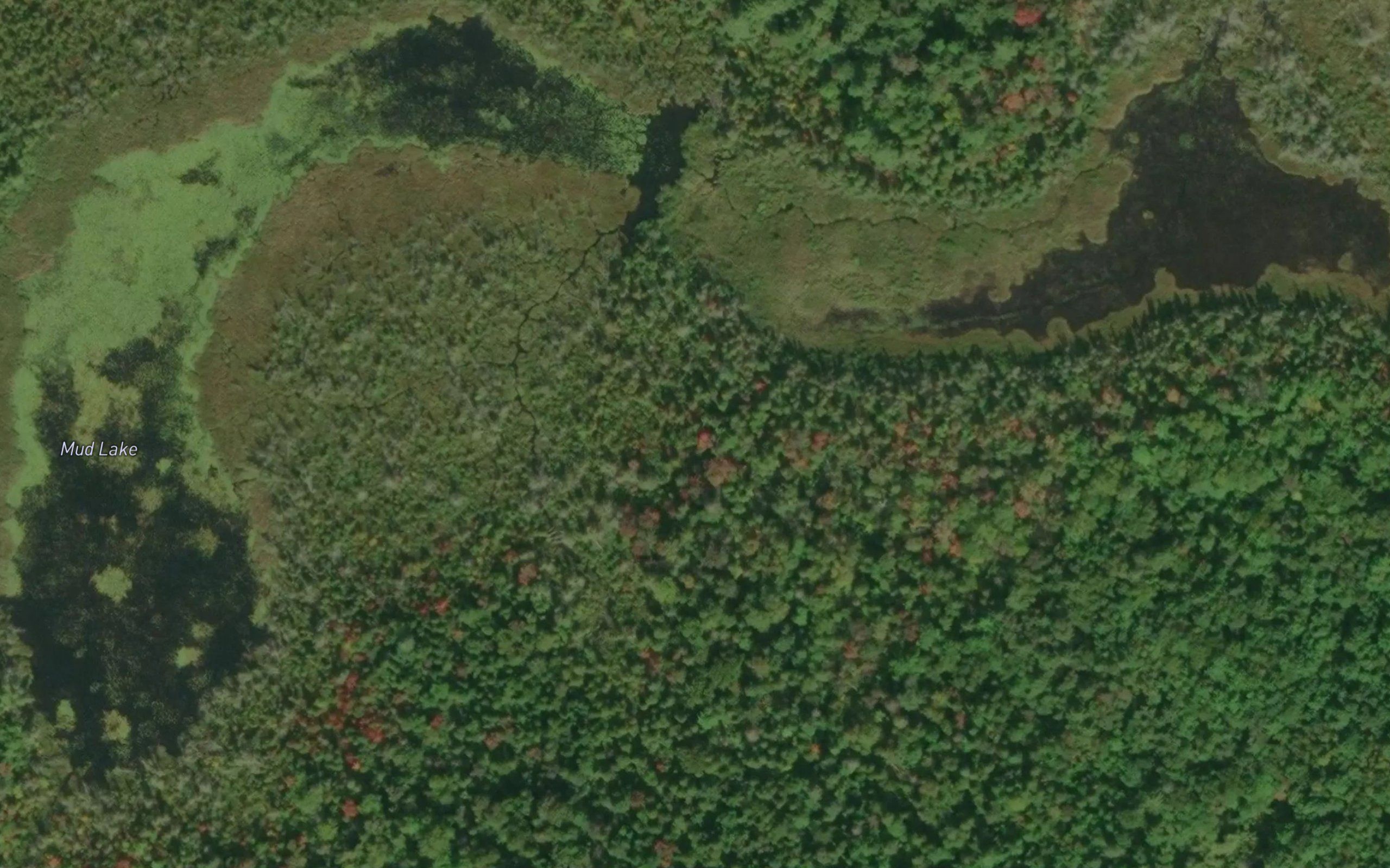 Mud Lake