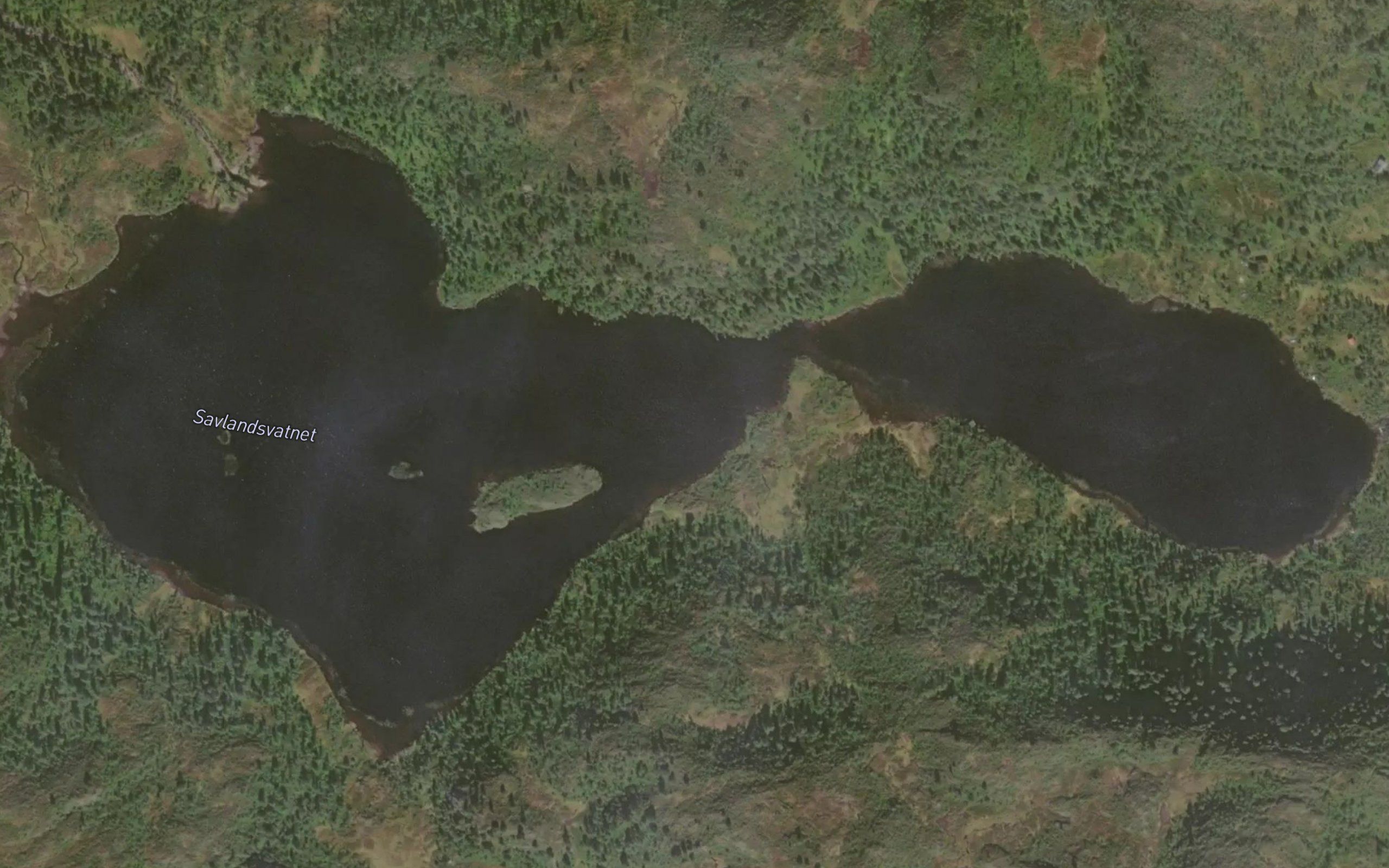 Savlandsvatnet